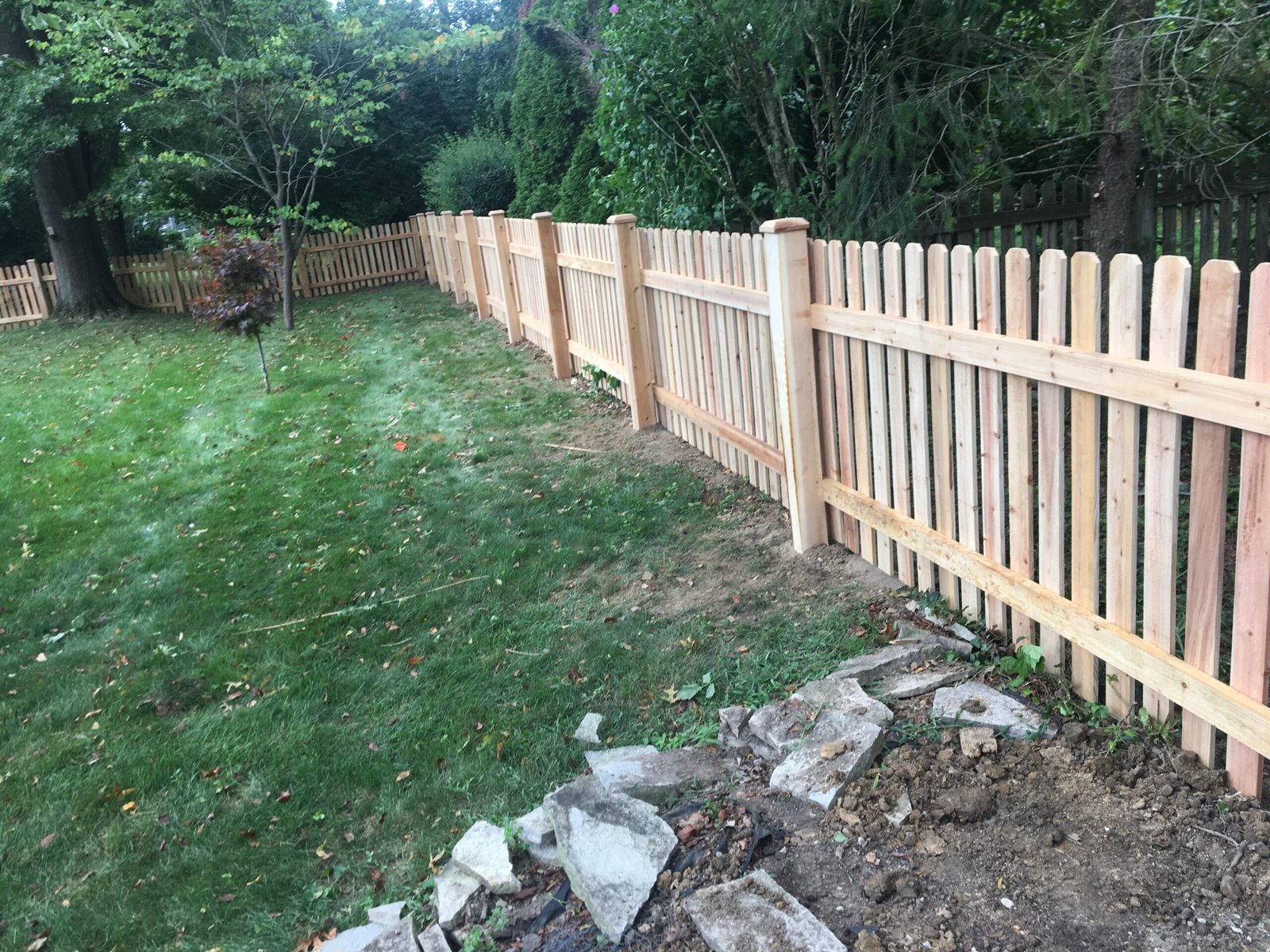 Cedar - Picket - Dog Ear - Straight Top