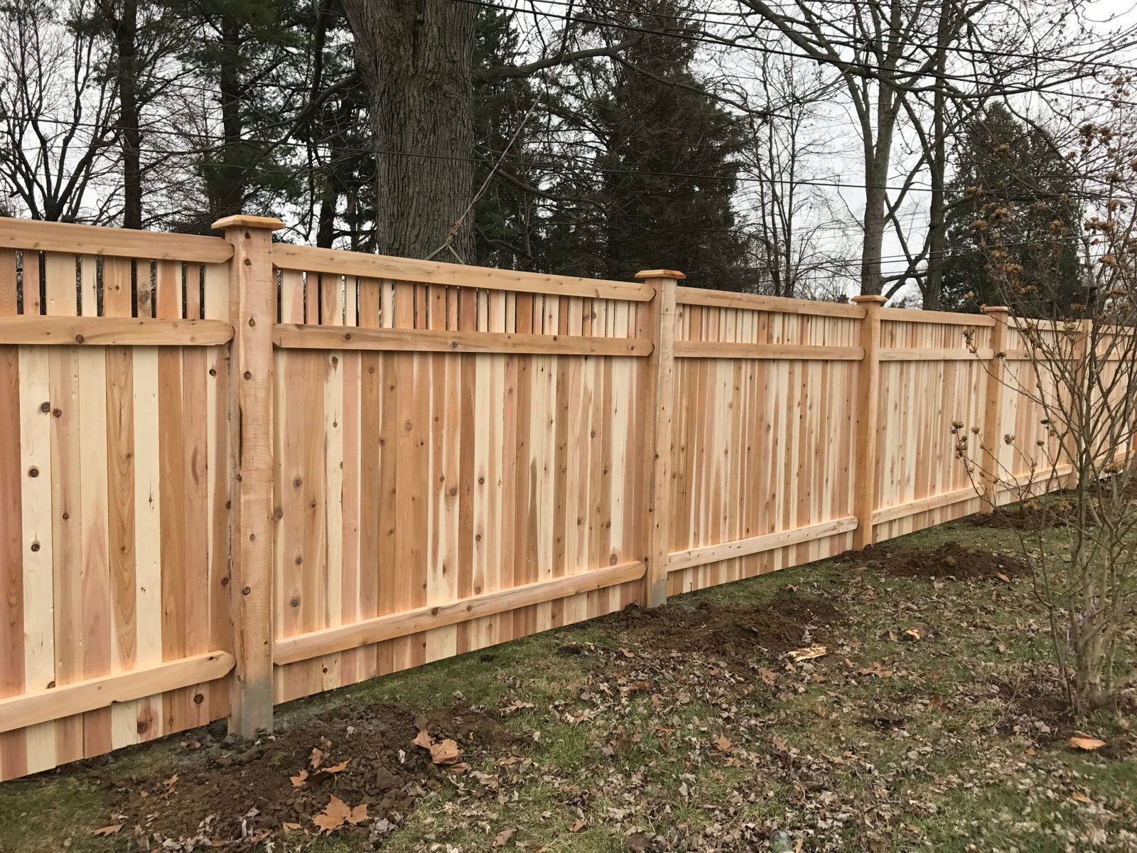 Cedar - Privacy - Mortice and Tennon - Ornamental Alternating Hampton Top