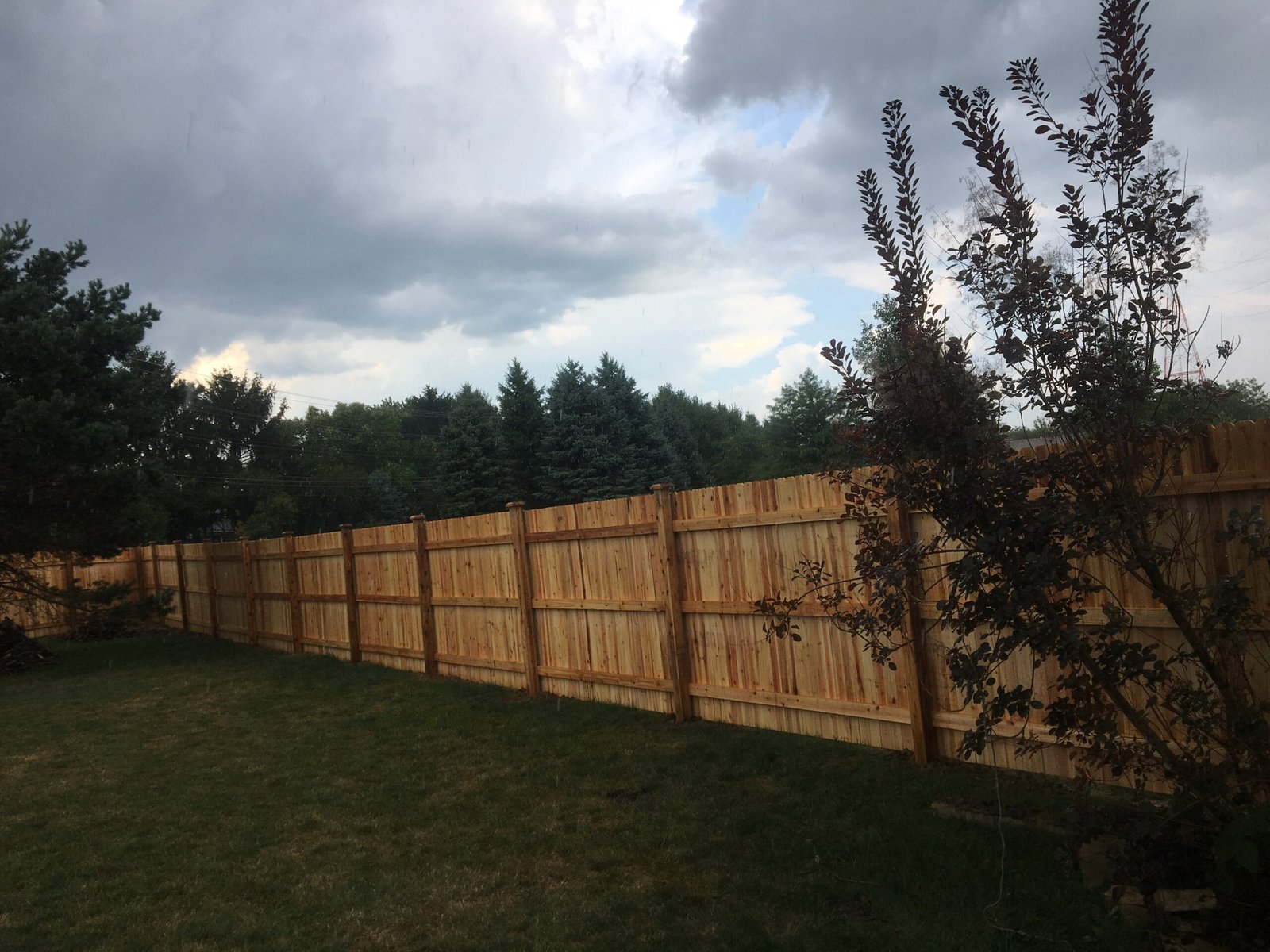 Cedar - Solid Privacy - Dog Ear - Straight Top(3)