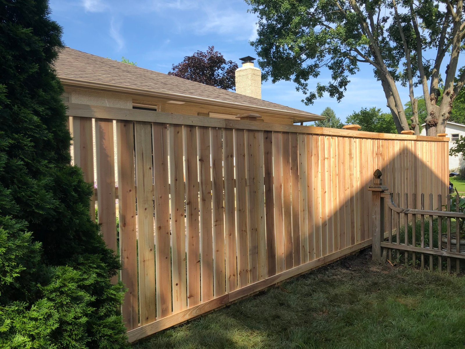 Cedar - Traditional Semi Privacy