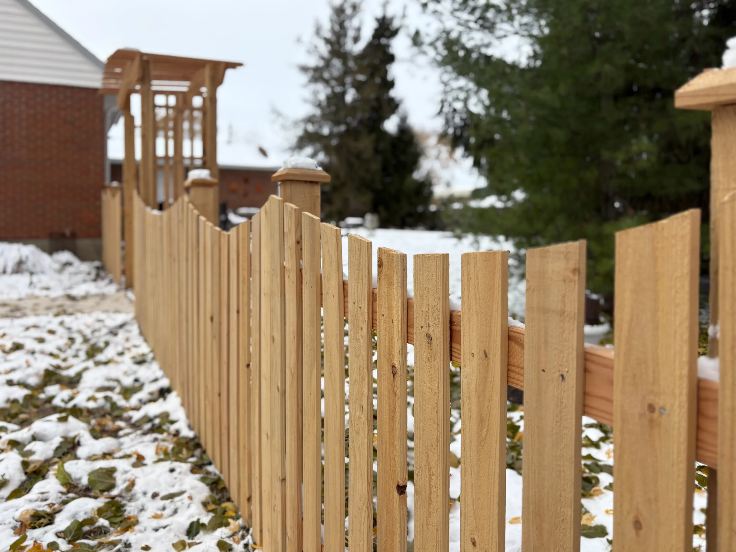 4_-Picket-Cut Scallop-Cedar-323