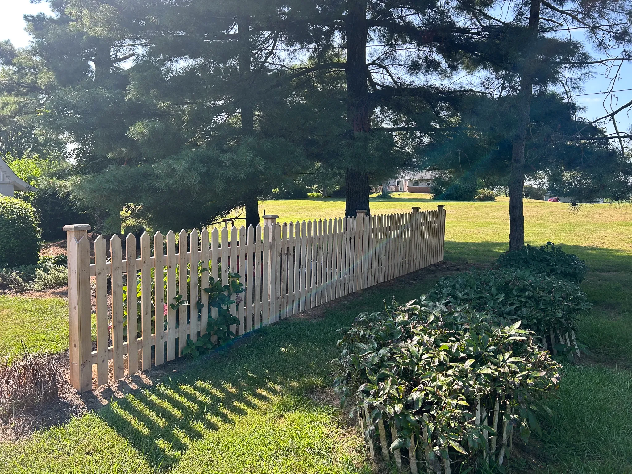 4_-Picket-Diamond Straight-Cedar-276
