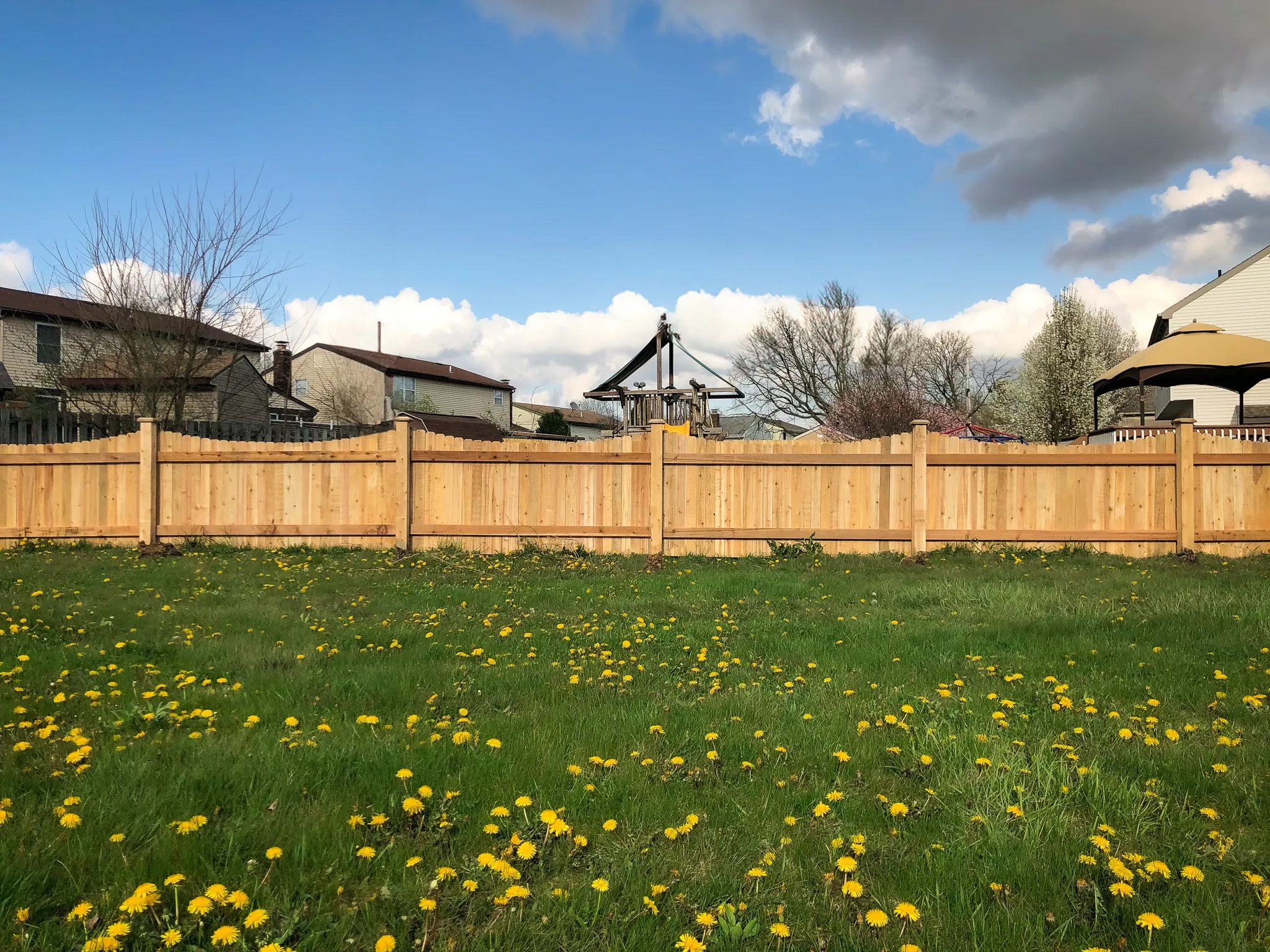 4_-Privacy-DE Scallop-Cedar-140