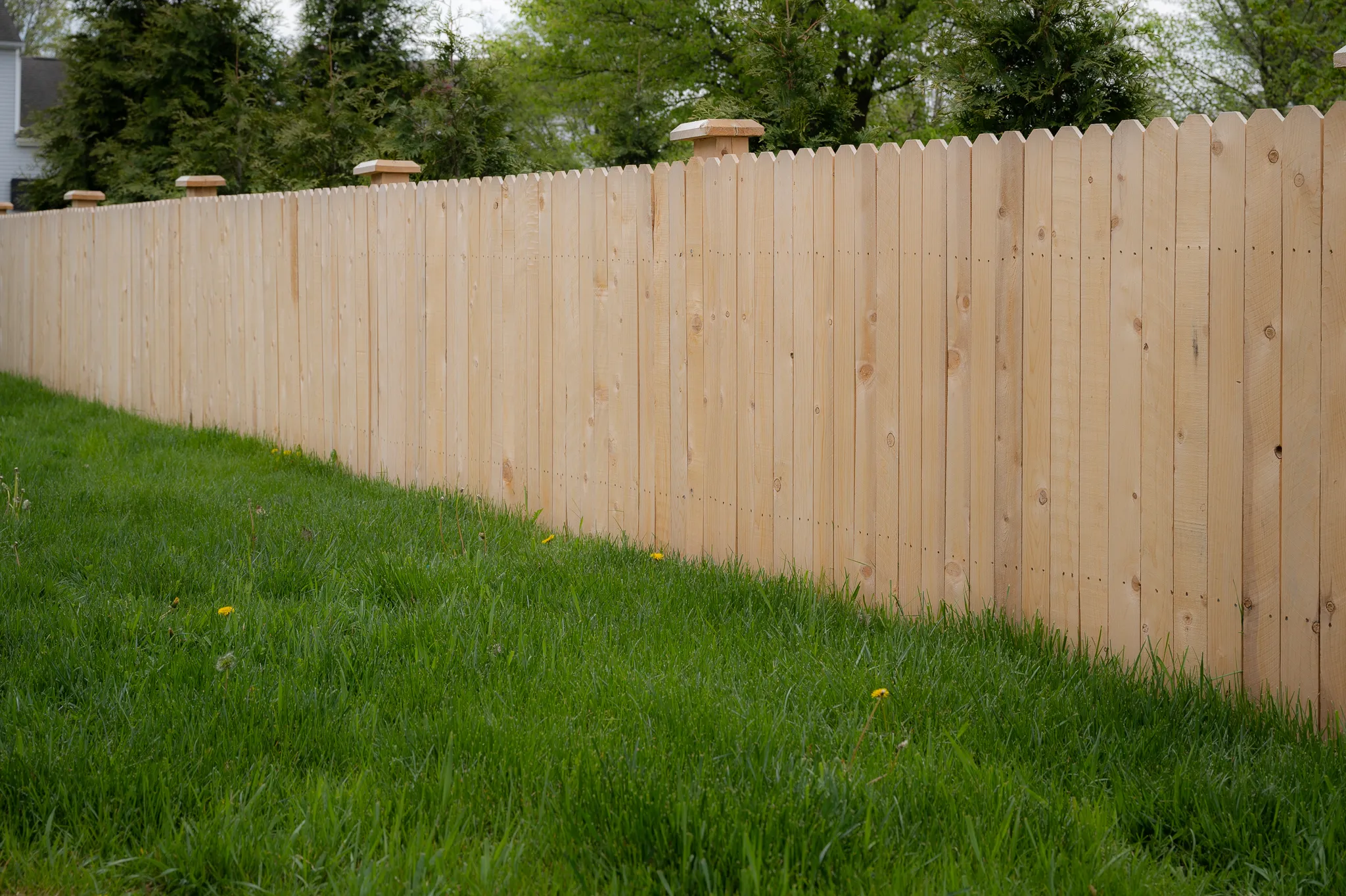 4_-Privacy-DE Straight-Cedar-233