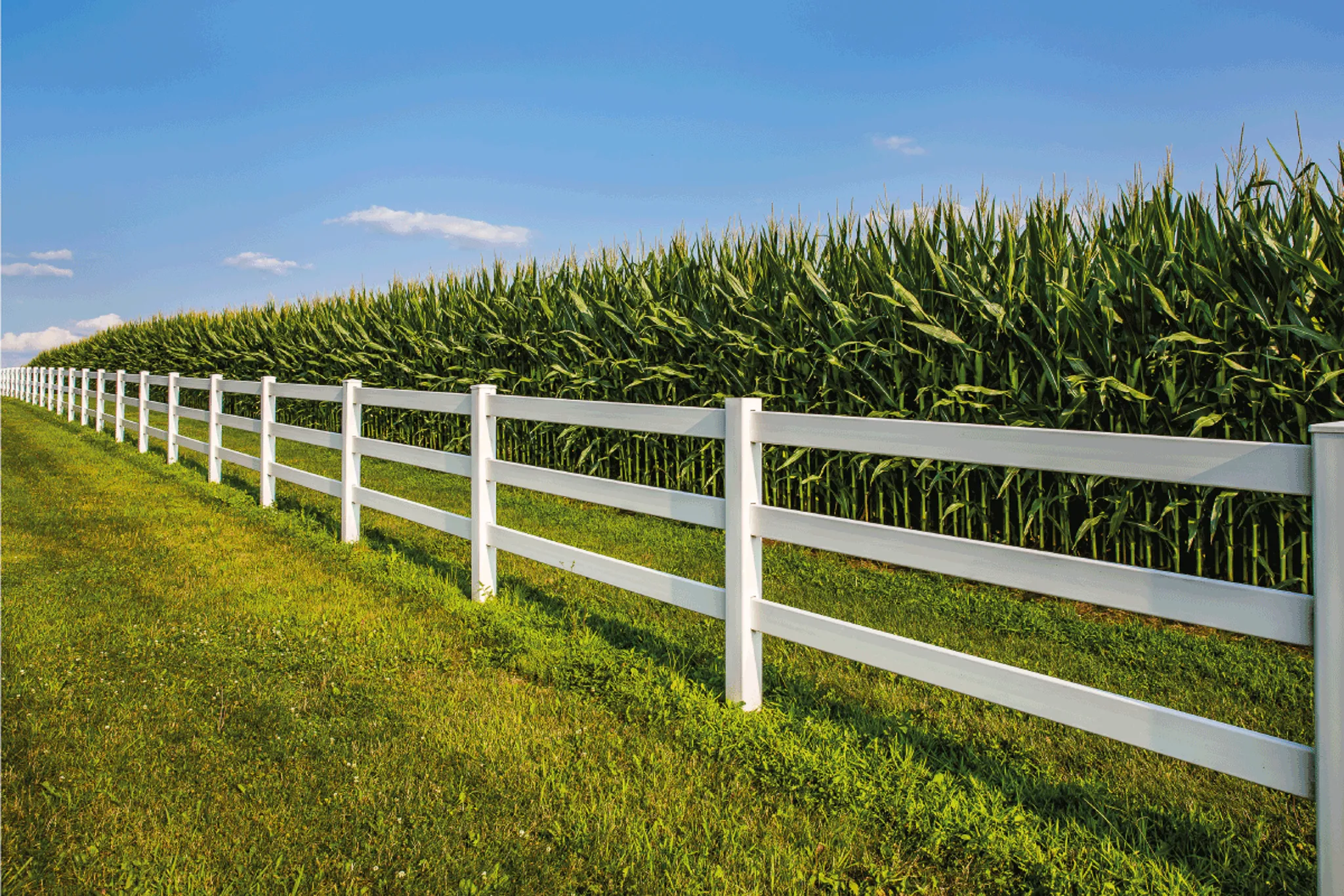 4_-Ranch Rail-3 Rail-Vinyl-25
