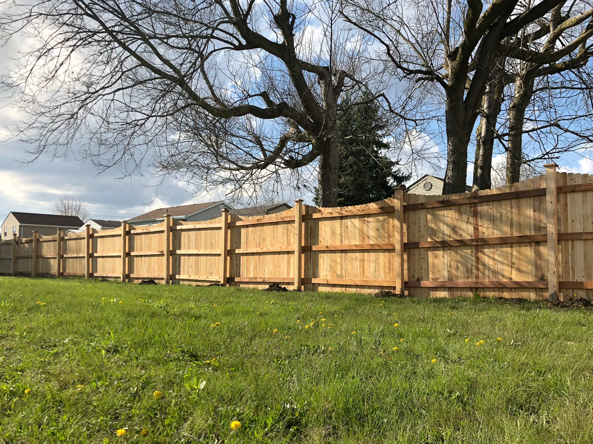 6_-Privacy-DE Scallop-Cedar-137