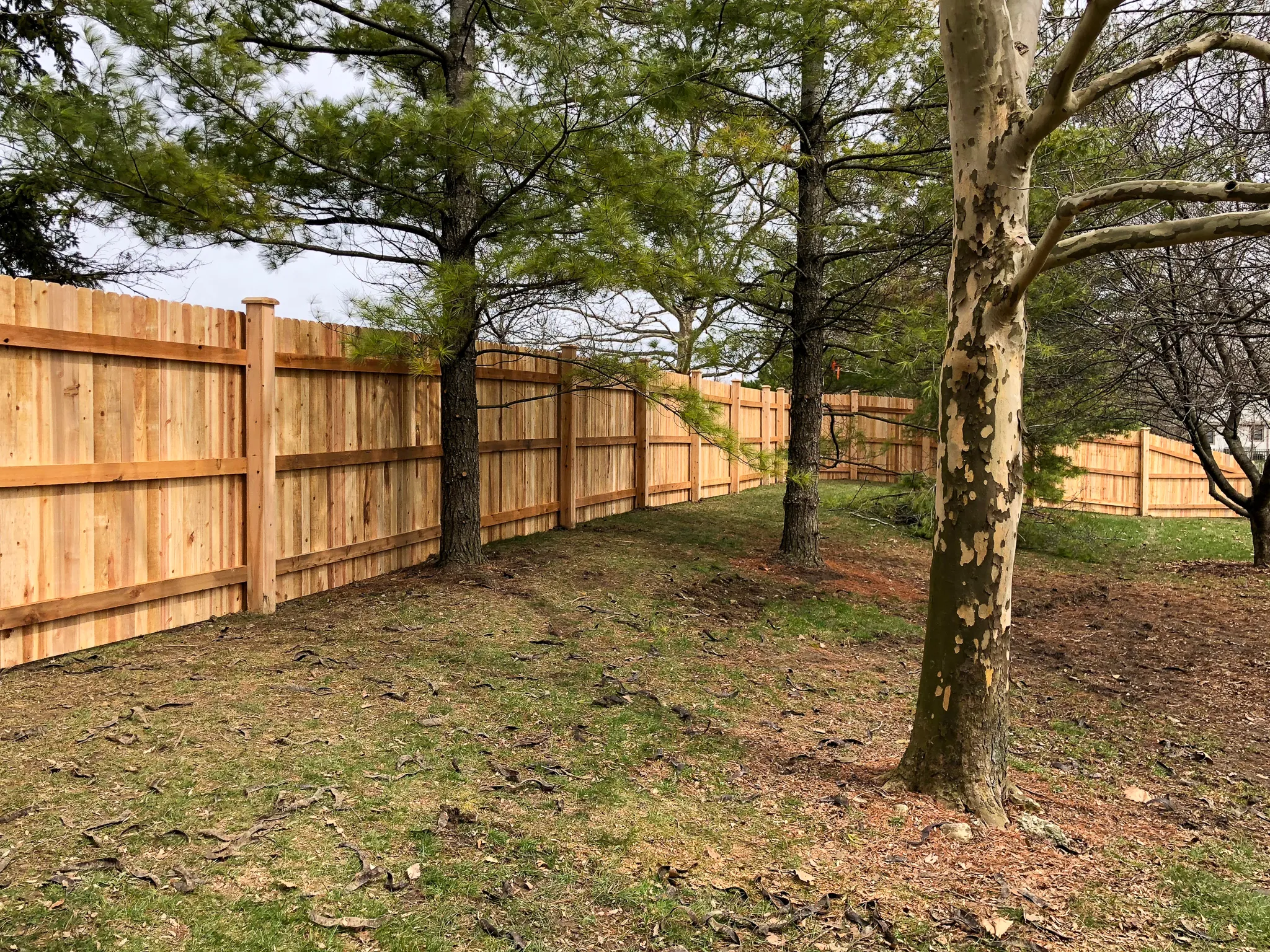 6_-Privacy-DE Straight-Cedar-133
