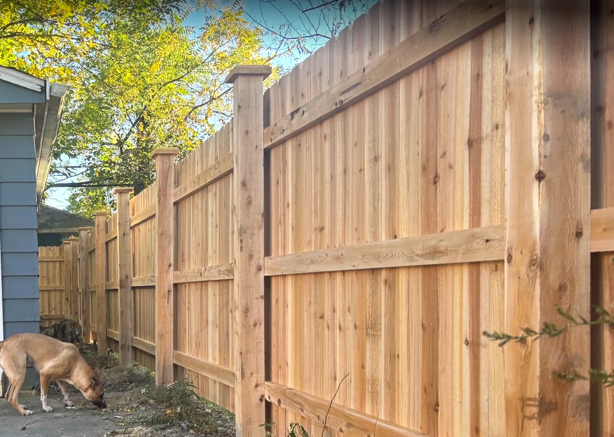 6_-Privacy-DE Straight-Cedar-286