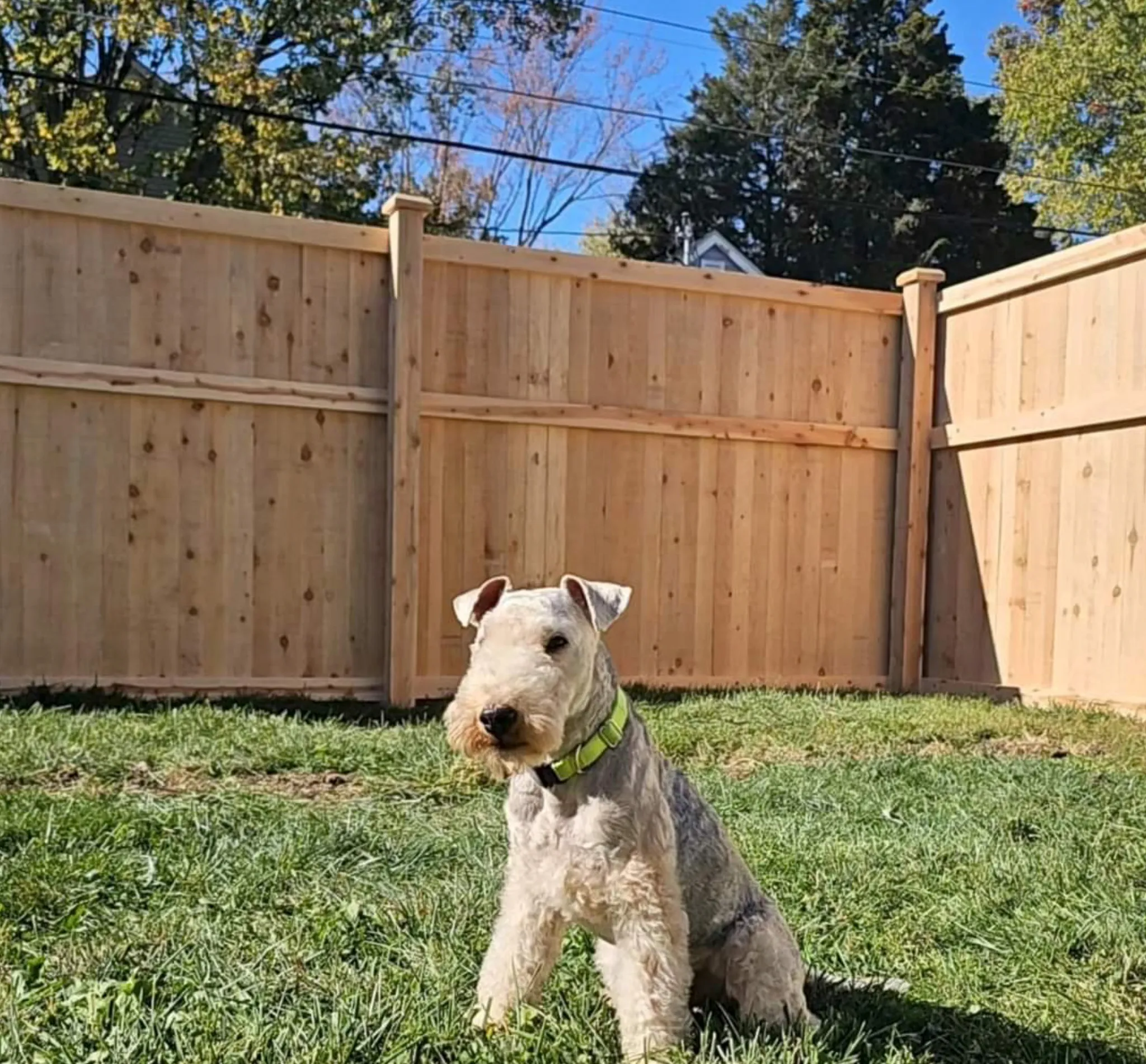 6_-Privacy-Traditional-Cedar-254