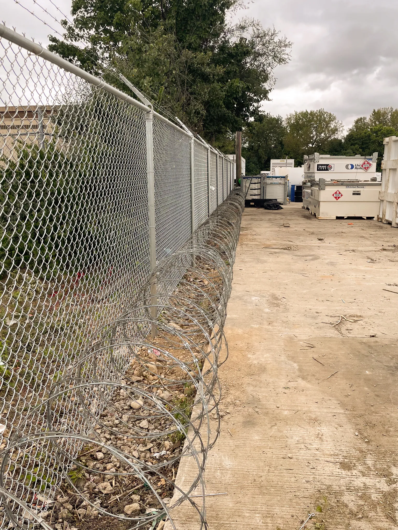 Chain Link-113